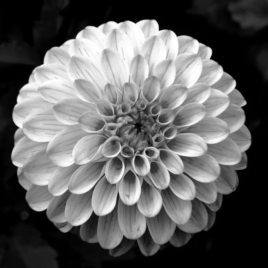banner 6.jpg